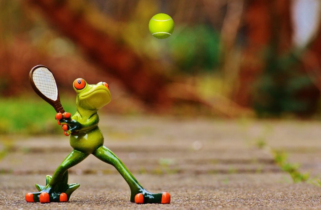 frog, tennis, fun